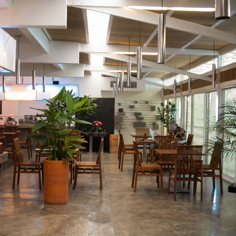 restaurant-interieur-vue-generale-e1789043592759 restaurant-interieur-vue-generale